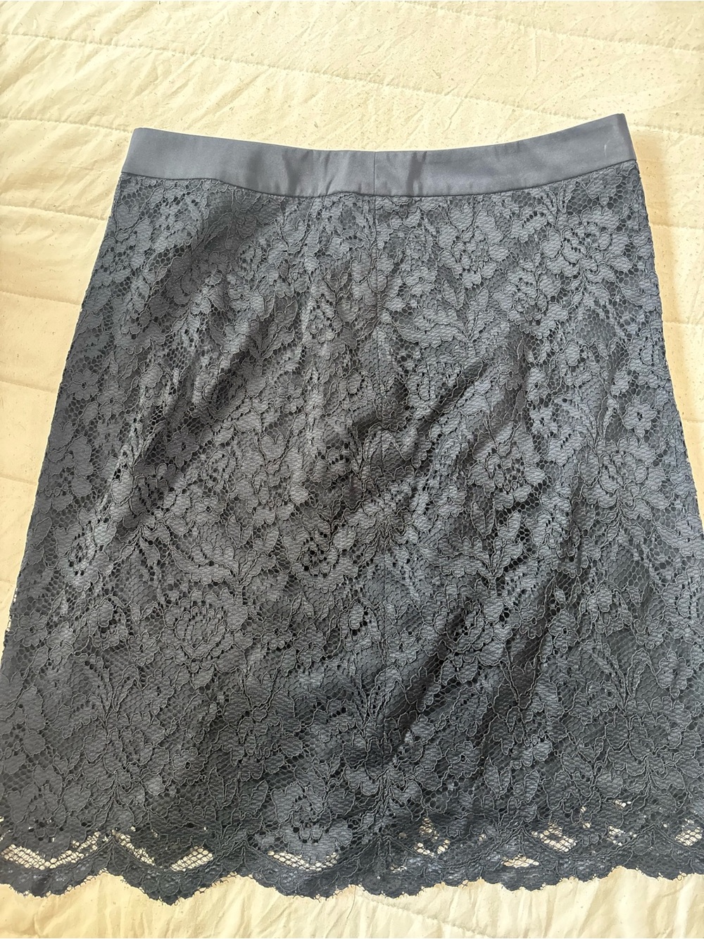 Lace A-Line Skirt in navy blue